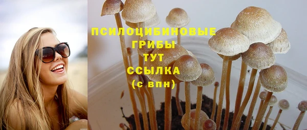 PSILOCYBIN Алексеевка