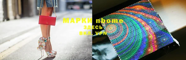 хмурый Алзамай