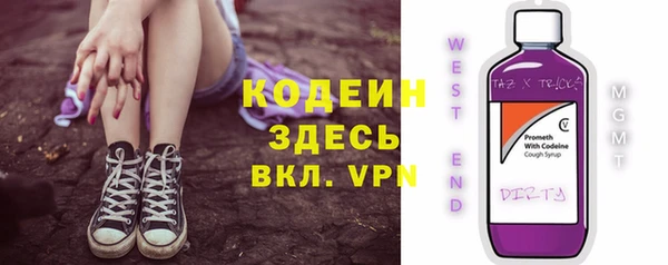 хмурый Алзамай
