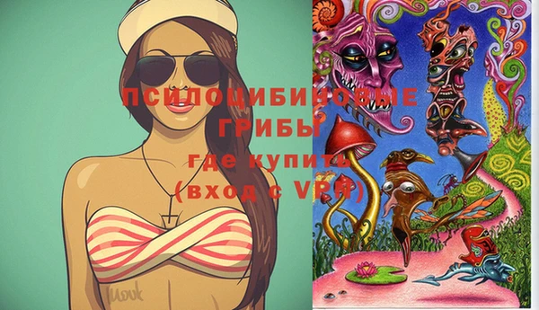эйфоретик Алексин