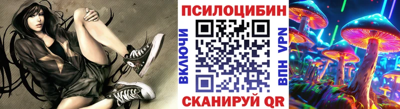 купить   Уяр  Галлюциногенные грибы Cubensis 